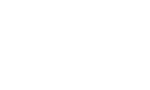 Solomon AI Logo